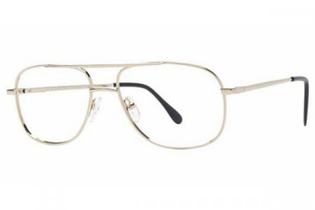 Practical Dylan Eyeglasses, Gold