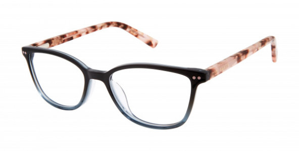 Ted Baker B969 Eyeglasses