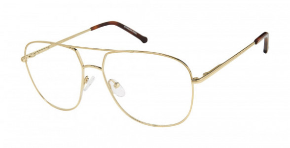 Colors In Optics C1110 DYLAN Eyeglasses, GLD SHINY GOLD/TORTOISE