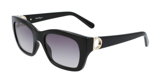 Ferragamo SF1012S Sunglasses