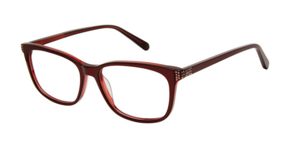 Exces PRINCESS 173 Eyeglasses, 301 BLACK - TORTOISE