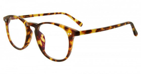 Diff VDFJAXS Eyeglasses, AMBER TORTOISE (ATRB)