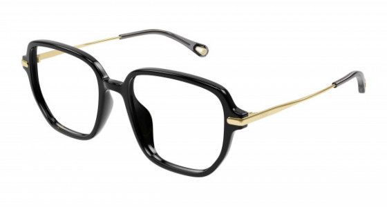 Chloé CH0218OA Eyeglasses