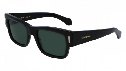 Ferragamo SF2011S Sunglasses