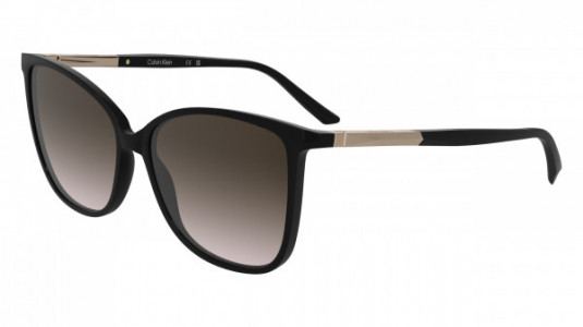 Calvin Klein CK25504S Sunglasses, (001) BLACK