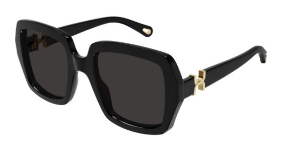 Chloé CH0301S Sunglasses
