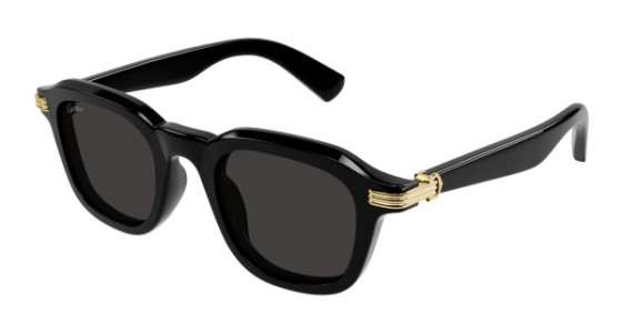 Cartier CT0536S Sunglasses
