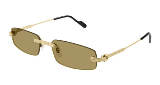 Cartier CT0535S Sunglasses