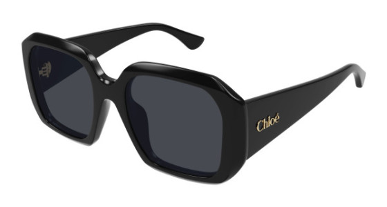 Chloé CH0300S Sunglasses