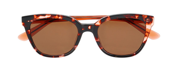 Nifties NI9889 Sunglasses