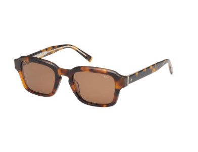 Abercrombie & Fitch AF00036 Sunglasses