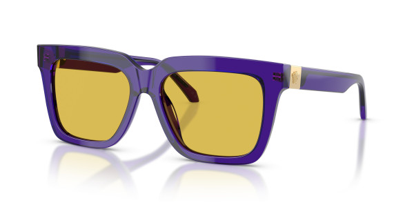 Versace VE4498 Sunglasses