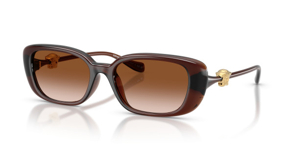 Versace VE4504D Sunglasses