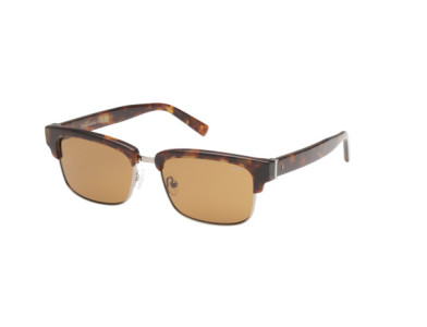 Abercrombie & Fitch AF00033 Sunglasses