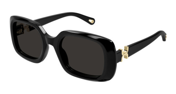 Chlo&eacute; CH0333S Sunglasses