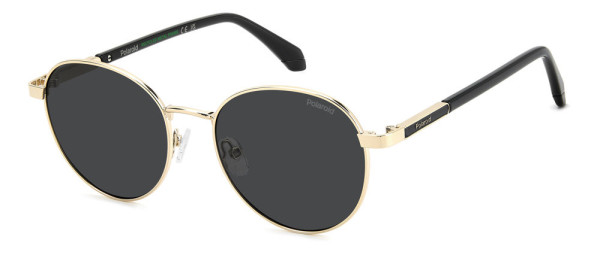 Polaroid Core PLD 4197/S/X/US Sunglasses, 2F7M9 GOLD GREY