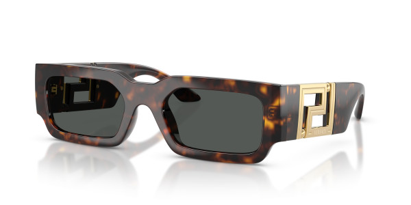 Versace VE4506U Sunglasses