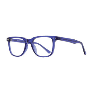 Equinox EQ333 Eyeglasses