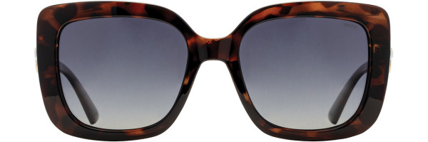 Alan J INVU Sunwear 348 Sunglasses