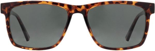 Alan J INVU Sunwear 316 Sunglasses