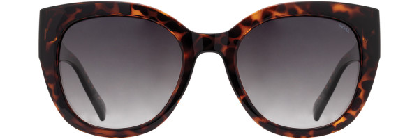 Alan J INVU Sunwear 331 Sunglasses