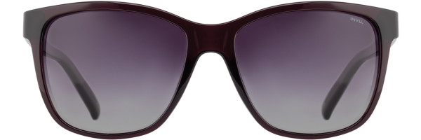 Alan J INVU Sunwear 303 Sunglasses