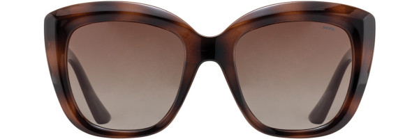 Alan J INVU Sunwear 276 Sunglasses