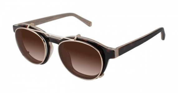 Kate Young K516 Amber Sunglasses, Tortoise/Gold (TOR)