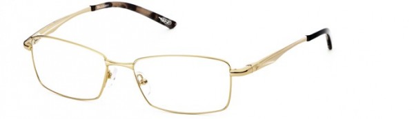 Calligraphy F-364 Eyeglasses, Col2 - Shiny Gold