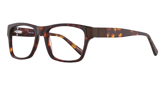 Di Caprio DC313 Eyeglasses, Tortoise