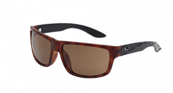 Puma PU0009S Sunglasses, AVANA with BLACK temples and BROWN lenses