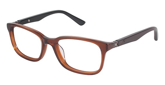 Champion 7006 Eyeglasses, C02 Trans Brown