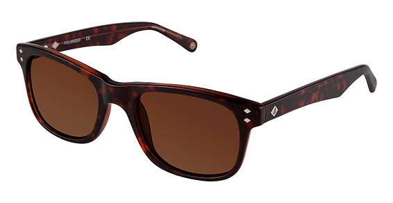 Sperry Top-Sider Wainscott Sunglasses, C02 Brown Horn (Solid Brown)