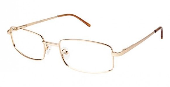 Redwood JJ005 Eyeglasses, GLD GOLD