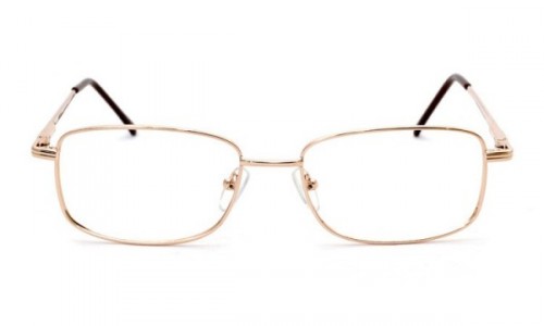 Nutmeg NM153 Eyeglasses, Gold