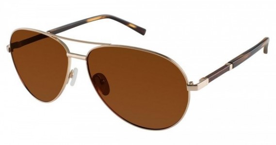 Ted Baker B695 Sunglasses, Gold (GLD)
