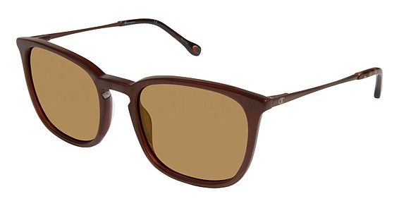Champion 6039 Sunglasses, C02 Brown (Brown)
