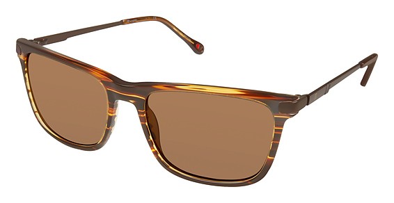 Champion 6044 Sunglasses, C02 Brown Tort (Brown)