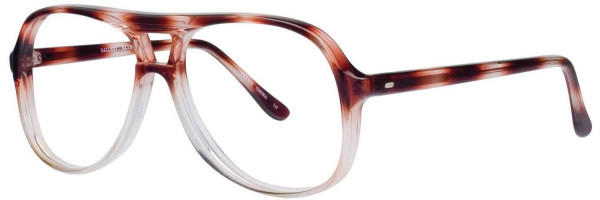 Gallery Raymond Eyeglasses, Brown Mtl