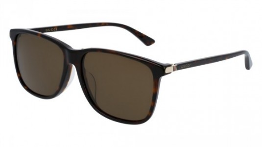 Gucci GG0017SA Sunglasses, 002 - HAVANA with BROWN lenses