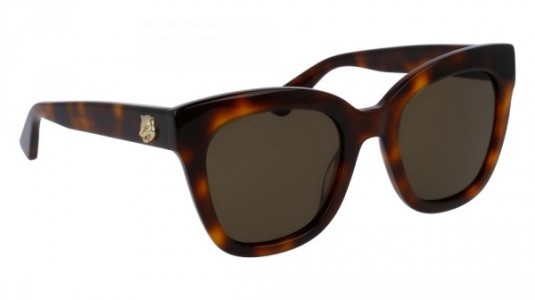 Gucci GG0029S Sunglasses, 002 - HAVANA with BROWN lenses