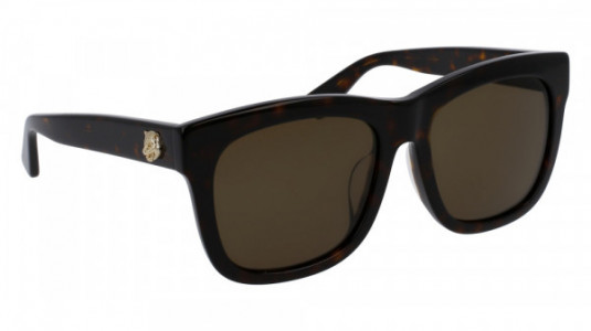 Gucci GG0032SA Sunglasses, HAVANA with BROWN lenses