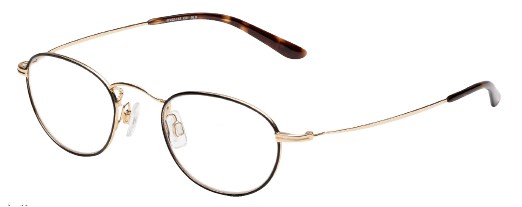 Levi's LS110 Eyeglasses, Matte Gold