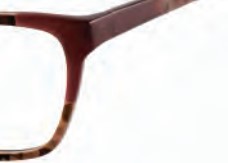 Brendel 924016 Eyeglasses, Rose Tortoise (ROS)
