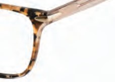 Brendel 924019 Eyeglasses, Tortoise (TOR)