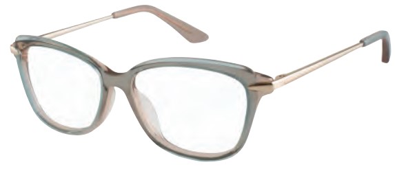 Brendel 924022 Eyeglasses, Brown (BRN) 