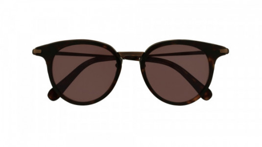 Brioni BR0009S Sunglasses, 003 - HAVANA with BRONZE temples and BROWN lenses