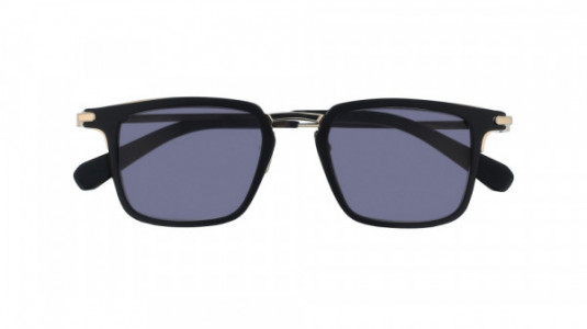 Brioni BR0010S Sunglasses, 002 - BLACK with GOLD temples and GREY lenses