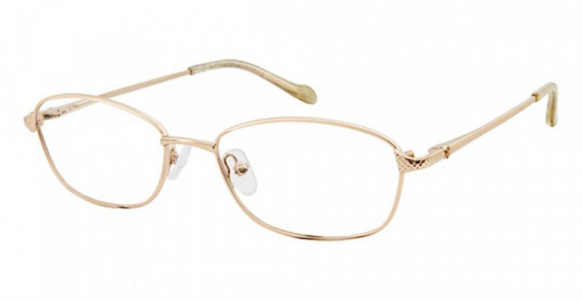 Caravaggio C120 Eyeglasses, Gold