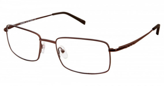 XXL CRUSADER Eyeglasses, BROWN